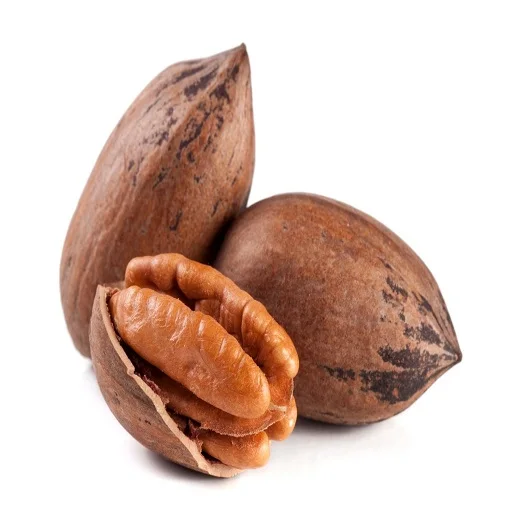 100% premium quality pecan nuts for sale/ pecan nut in shell