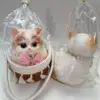 20724-Ragdoll Cat Variant 2 Squishy