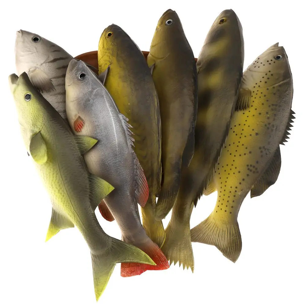 Poisson De Mer Jouet Réaliste - Créature Marine Artificielle En PVC - Décoration éducative, Détails Réalistes - Taille A 9,6 Cm / B 18,5 Cm - Exploration Océan