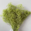 verde erba