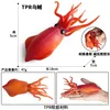 By-tpr soft rubber squid