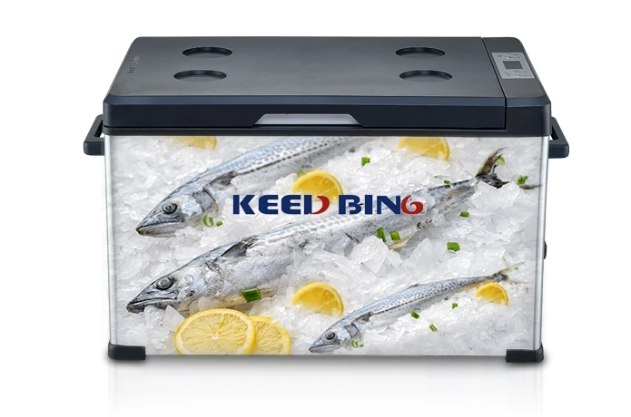 50L Compressor Mini Cooler Box Car Fridge Freezer Dual Zone Small Refrigerator for Store Food at Home Office  Travel