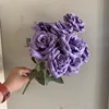 Pourpre