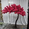 árbol de arco 4