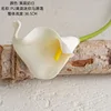 Yellow stamens milk white