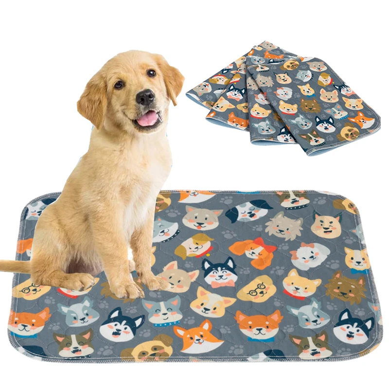 Teach Your Pup the Easy Way with Washable Puppy Pad