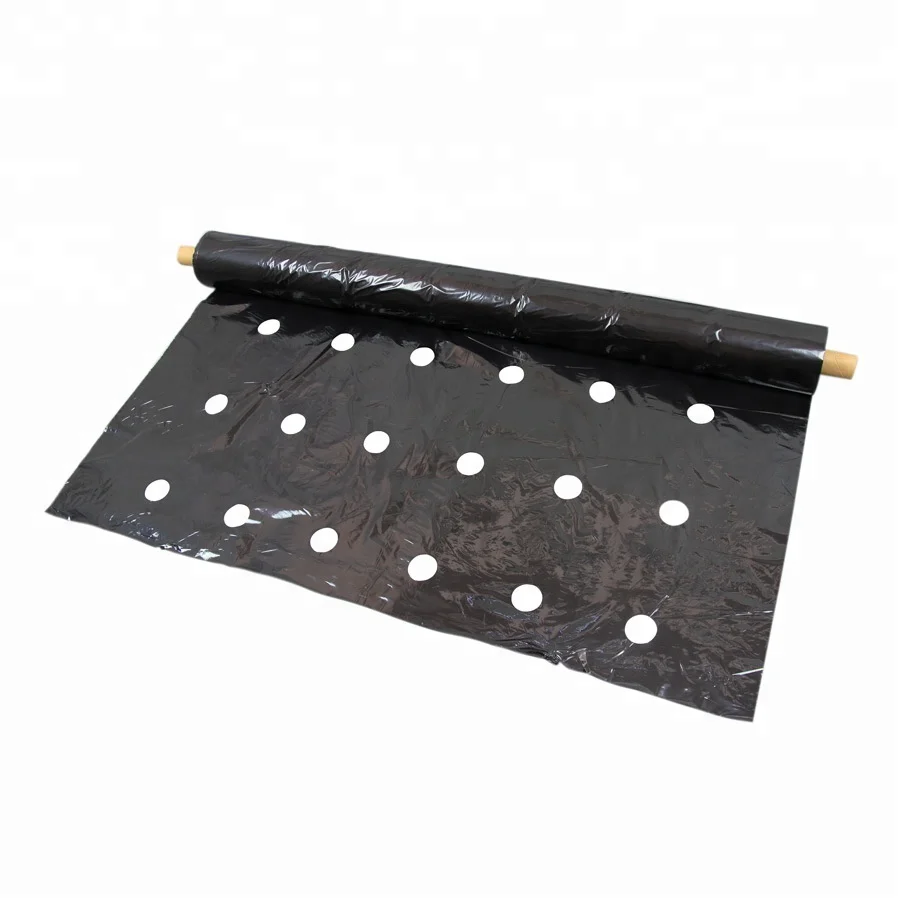Nursery Growing Mulch Film Roll,Perforated Plastic Mulch Film Layer
