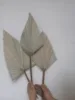 Amber