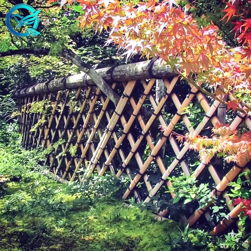Bambooza Bambuszaun fr wasserdichte Pergola & Gartendekoration