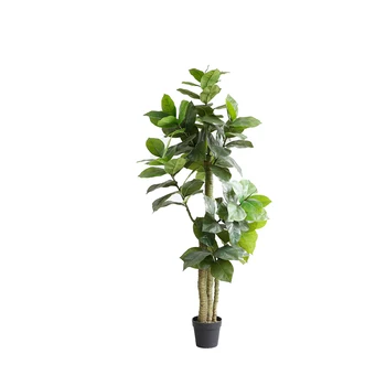Bonsai oak plants indoor tree in pot for garden decor home decor bedroom accessories