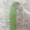 green curtain dream