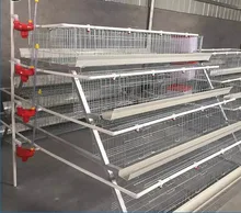 A type layer chicken cages 250 chicken per unit/layer cages egg chicken poultry farm