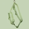 Pastel Green harness