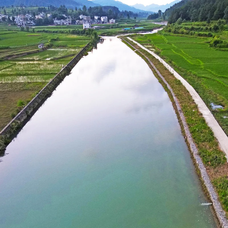 Специализированная бактерия для очистки сточных вод, чистой воды, уменьшение уровня груза, устранение запаха сточных вод