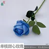 Un solo amor WY azul