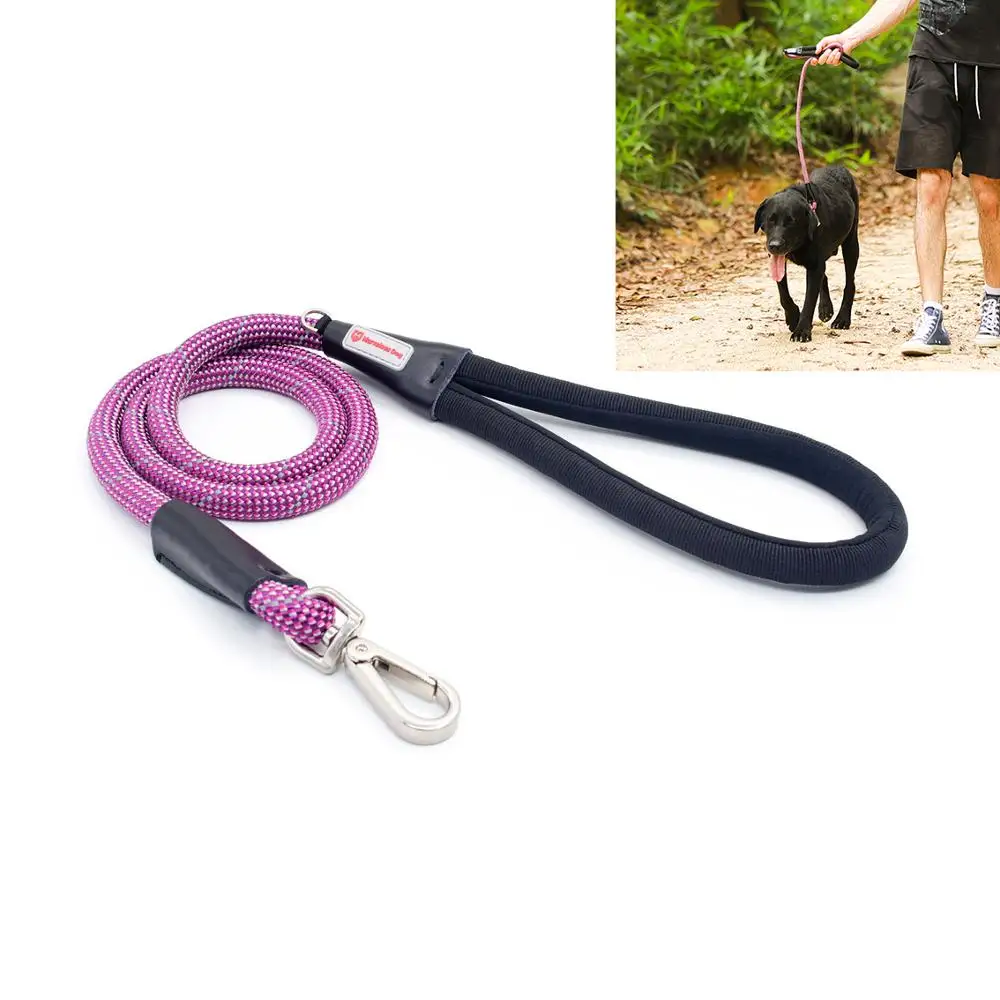 outdoor dog leash run