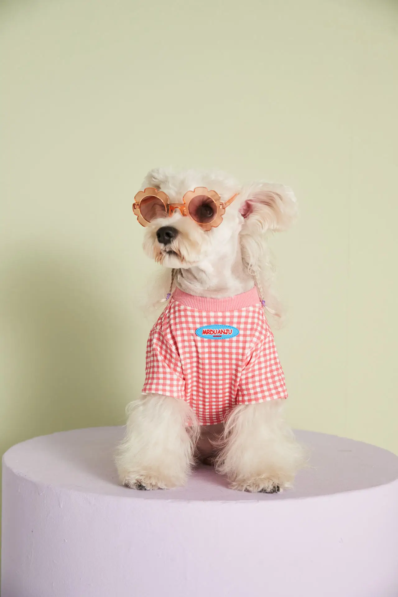 pet clothing wholesale supplier