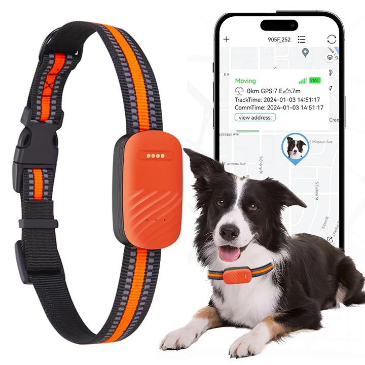 Top 10 Waterproof Dog GPS Trackers: Ultimate Safety & Reliability