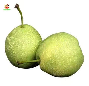 Now crop sweet pears organic juicy japanese pear fruit pear from China