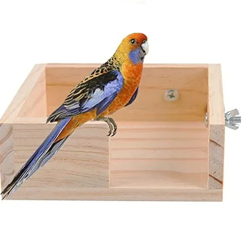 canary bird accessories
