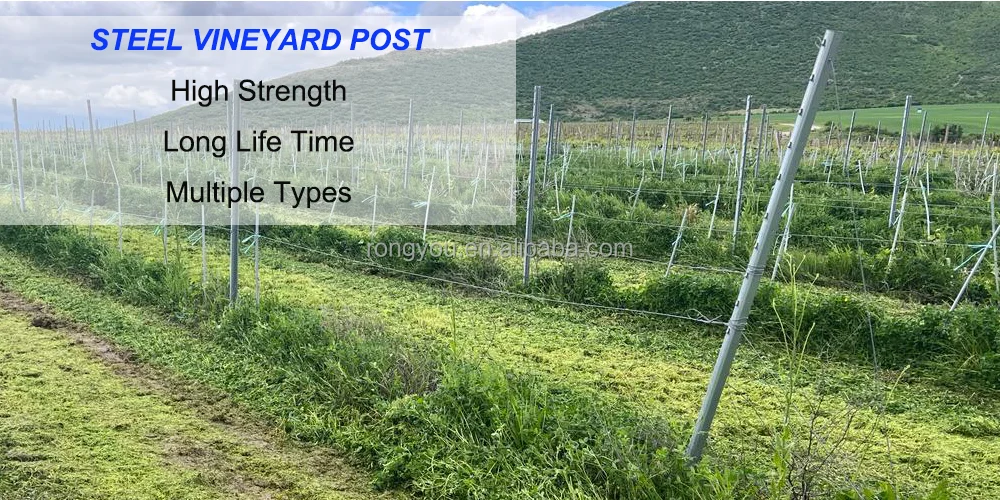 Galvanized Vine Plants Metal Vineyard Trellis Post Grape Pole Stakes ...