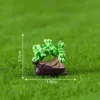 green potted plant