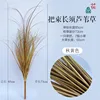 Large bunches of long-bearded reeds, autumn yellow