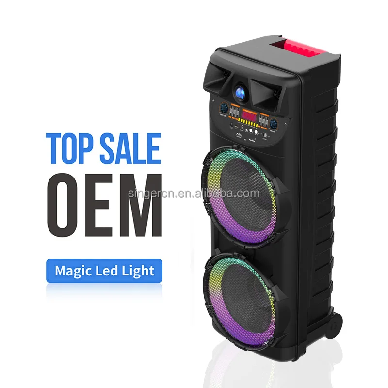 Dual 10 Inch Outdoor PRO Subwoofer 50W DJ Karaoke Box - Wireless