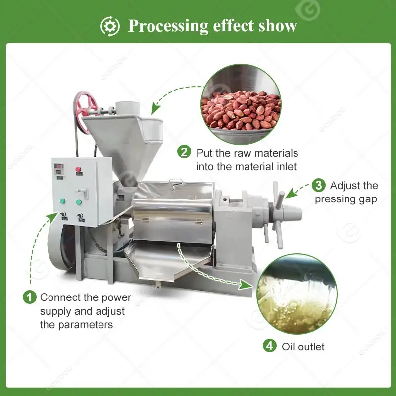 Coconut Palm Fruit Kernel Peanut China 6yl-130 Zx-105 Oil Expeller