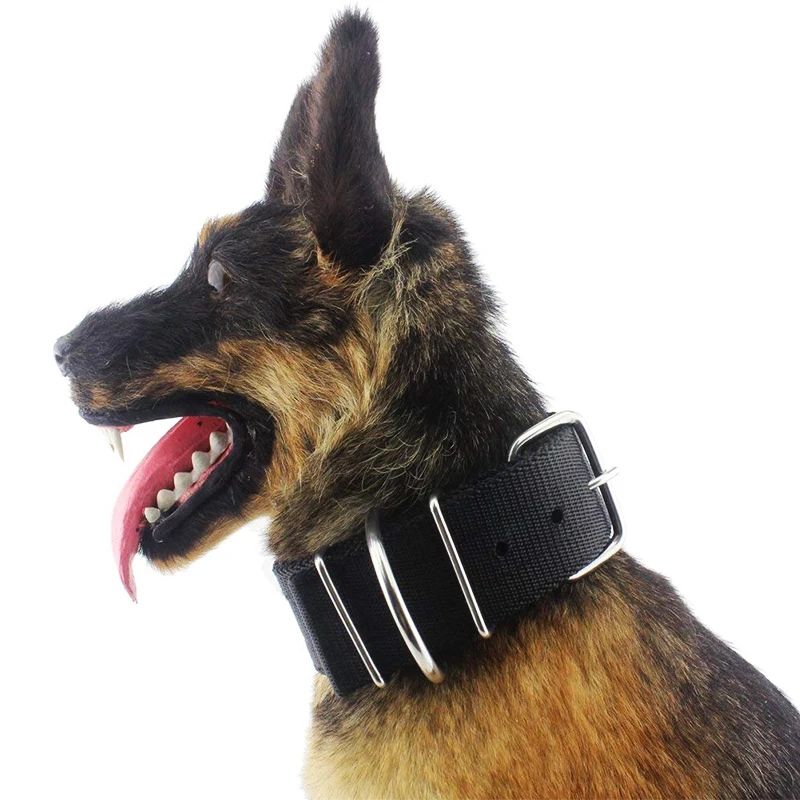 2 inch thick dog collars