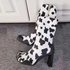 leopardo blanco