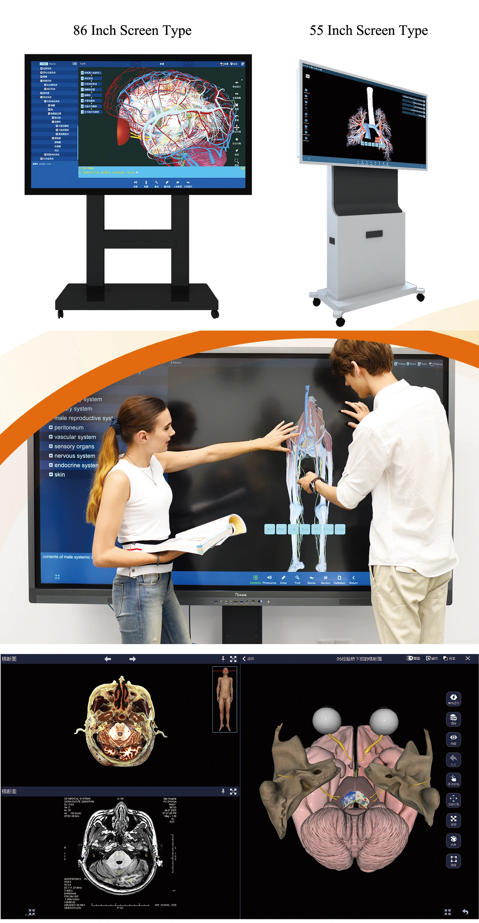 Human Virtual Anatomage 3D Anatomy Table Digital Human Body Virtual Autopsy Dissection Table for School