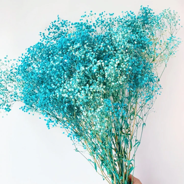 Turquoise dried flowers - a green and low-cost choice