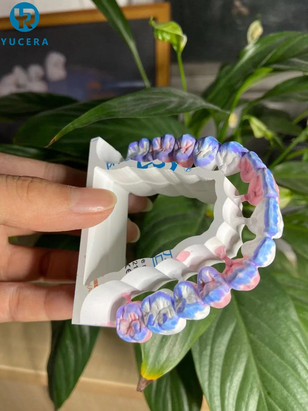 CE ISO Certificate Cad Cam Zirconia Ceramic Disk Dental Laboratorio High Translucent Zirconia Blocks for Crown