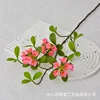 Long-branched island spring flowers - rose red