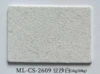 ML-CS-2609