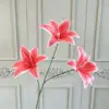 Rojo rosa intenso