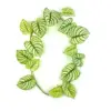 Green 2
