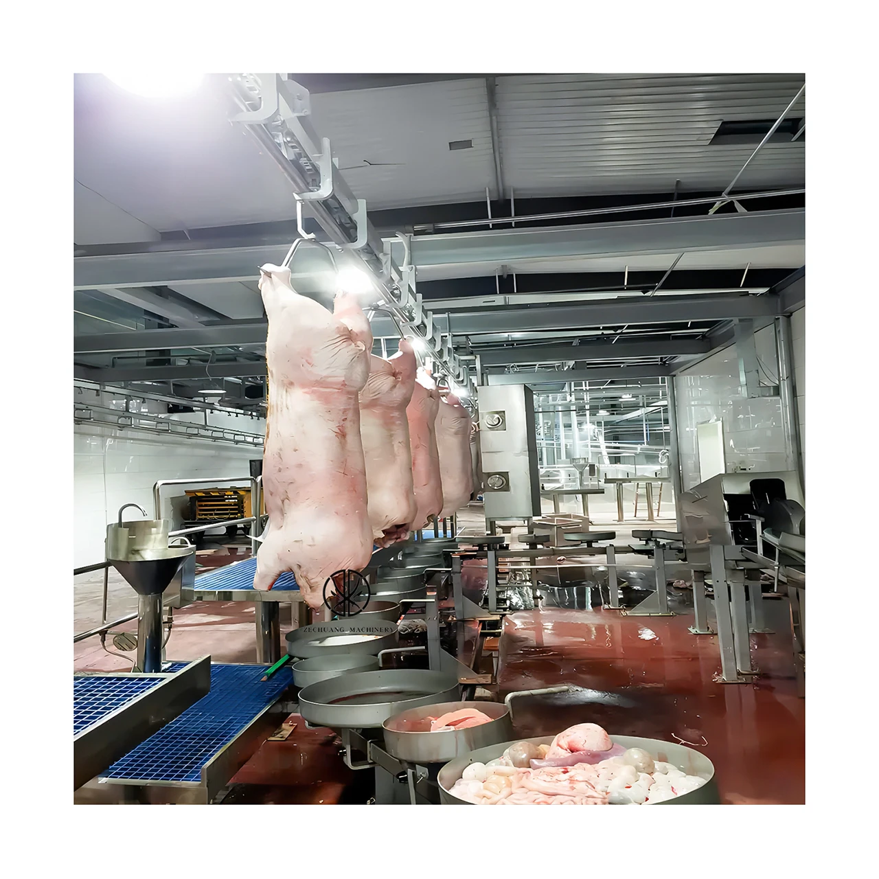 Widely Used Best Price Swine Slaughtering Equipment Offal Synchronous Quarantine Conveyor For Hog Killing Abattoir