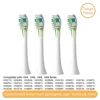YH755 Green + White