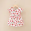 Cherry strawberry princess dress