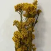 Amarillo