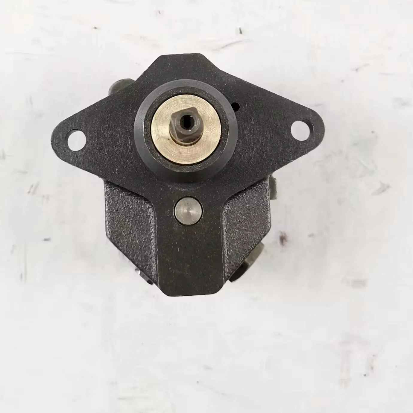 High Pressure Cast Iron Hydraulic Gear Pump with 1 Year Warranty for Industrial Utilities