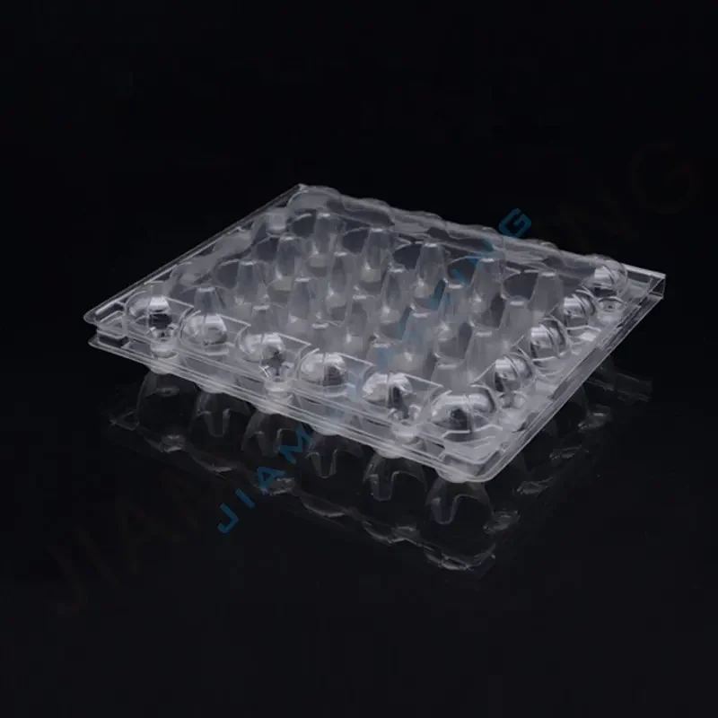 Didiseaon Lot De 12 Plateaux D'Oeufs De Caille Transparents - Boîtes Plastique 24 Emplacements Empilables