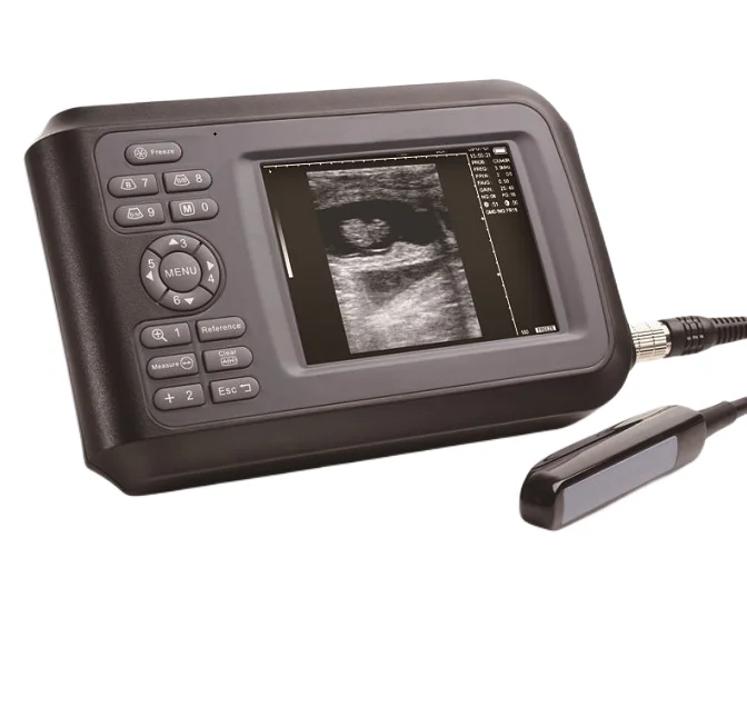 V8 Most Economic Professional Vet Ultrasound Scanner Veterinary