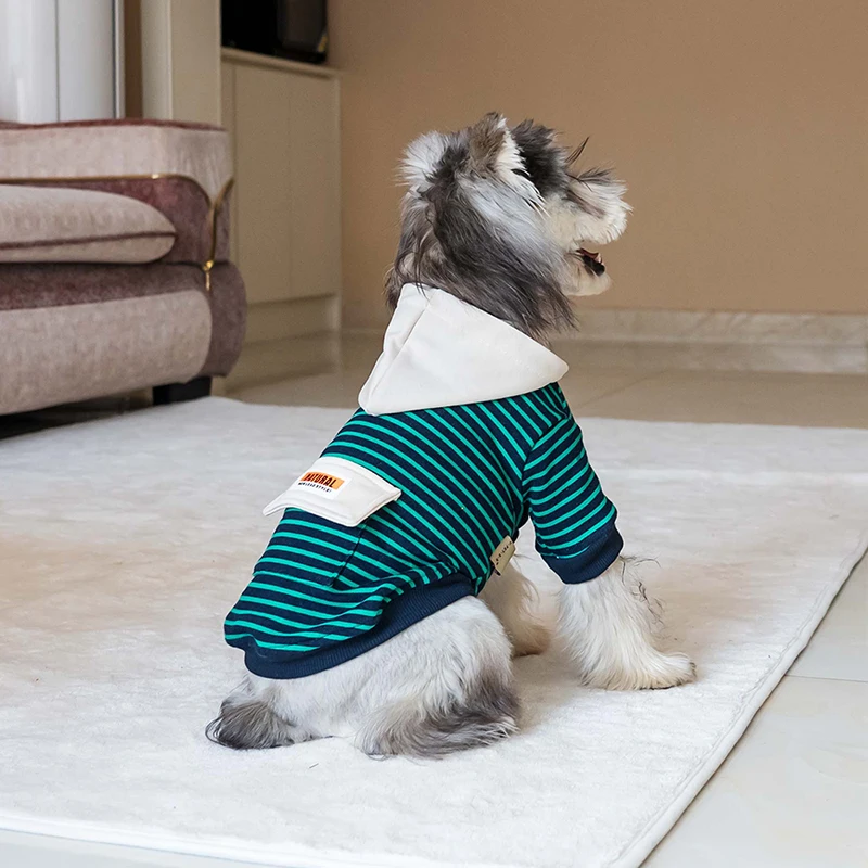 custom winter dog dress Personalized Dog Snowsuit: Custom Winter Outfit With Fur Hood