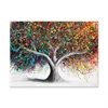 colorido