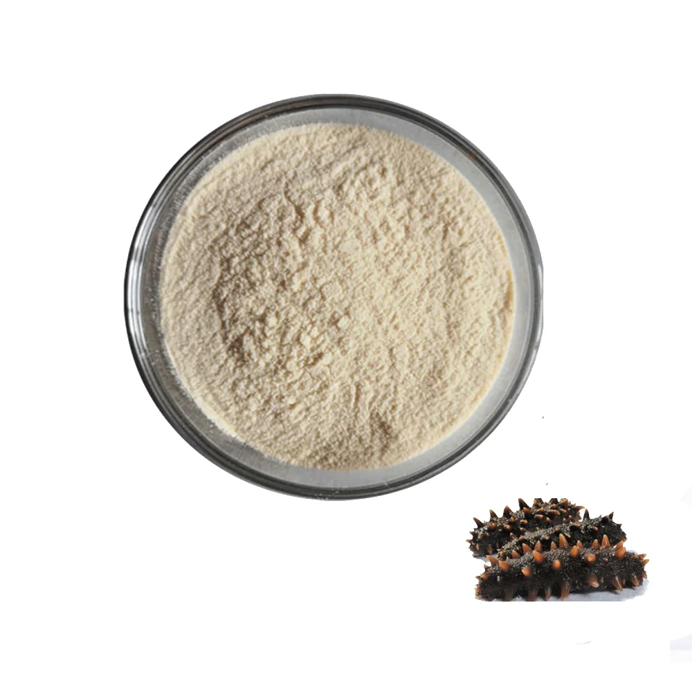 Enzymatic Organic Freeze Dried Sea Cucumber Extract Powder Buy Enzymatic Sea Cucumber Powder