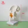 Articulation de la hanche
