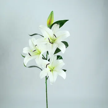 Hd4c2edbf330d42f69efe4edf49755